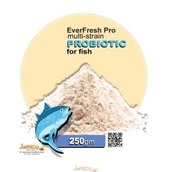 Multy Strain Probiotic for Fish (Everfresh) a World Class Probiotic 250gm